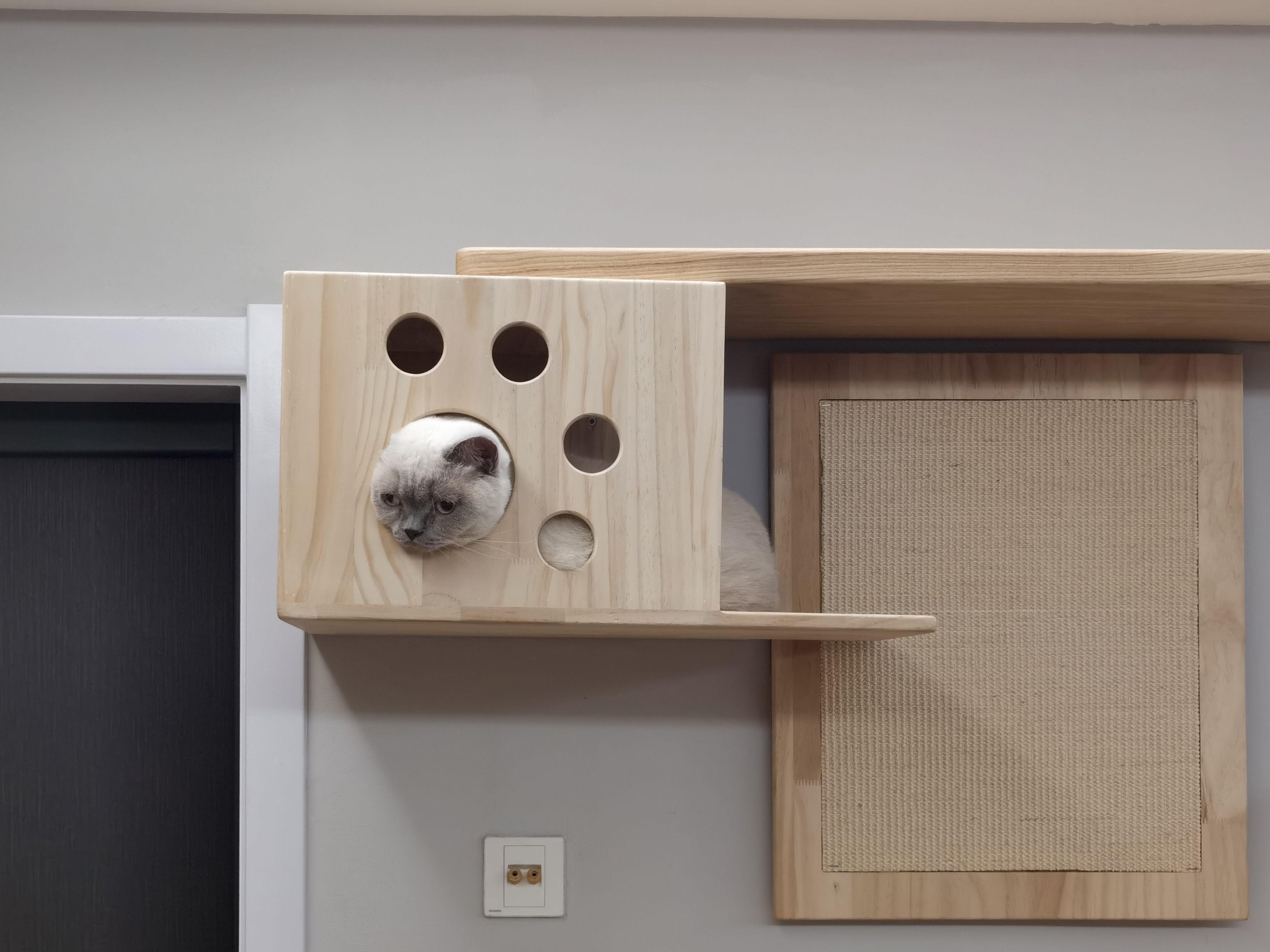 打造人宠共乐的家—“铲S官”的装修笔记