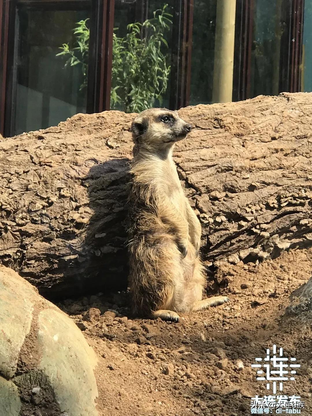 大连中秋节适合去哪里玩,中秋节大连游玩攻略