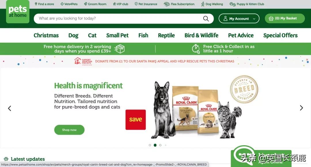 在英国哪里可以买宠物,英国如何饲养宠物猫咪