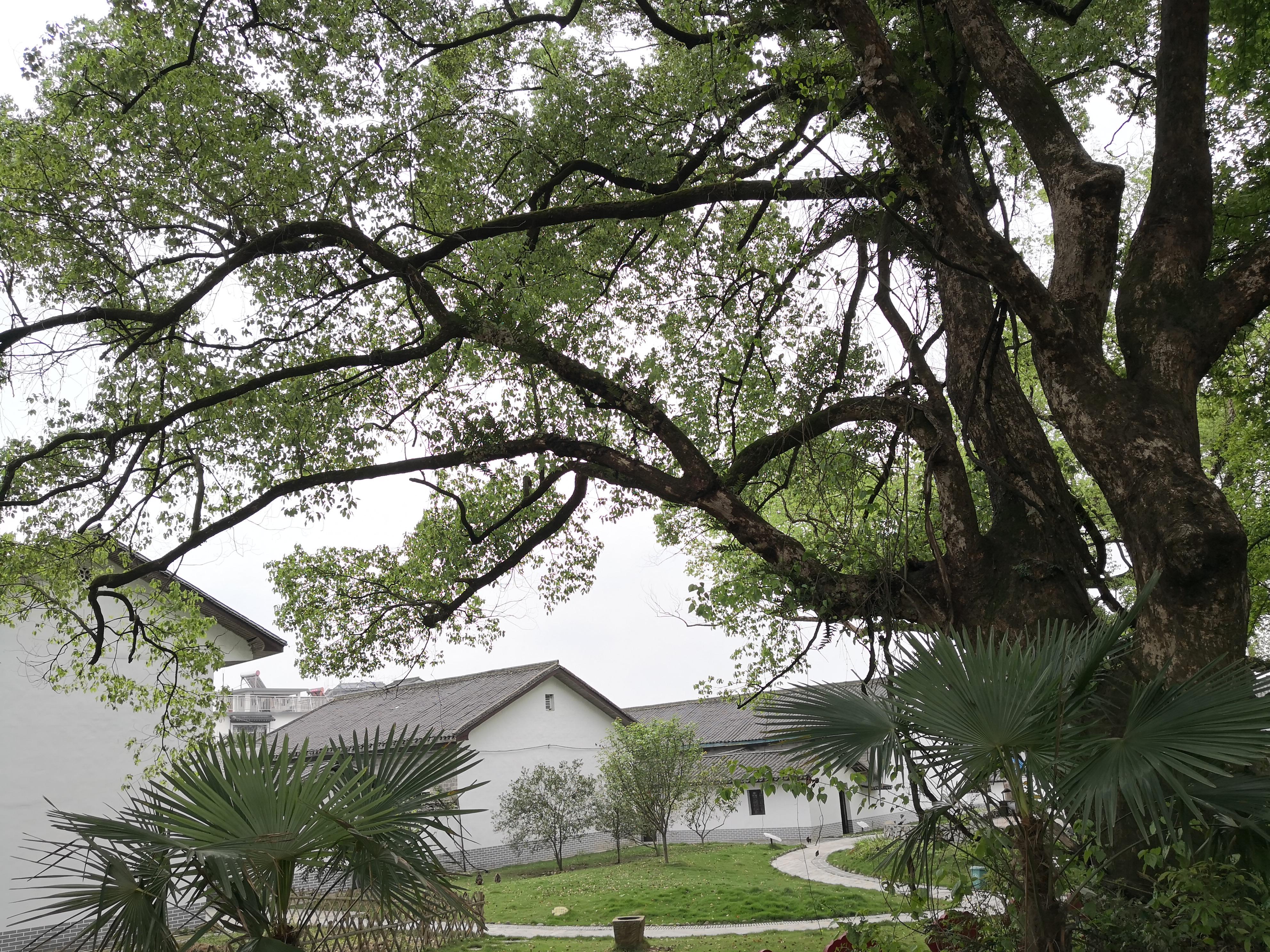 妈妈那边的亲戚称呼大全,山东亲属称呼大全