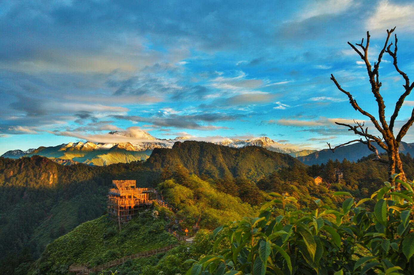 成都周边春季徒步旅游攻略,成都森林徒步旅游攻略