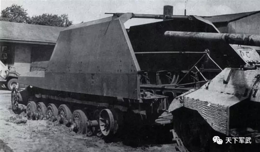 D系丨竟因火力过剩遭到自己人嫌弃?!看来我兔的病有治了!