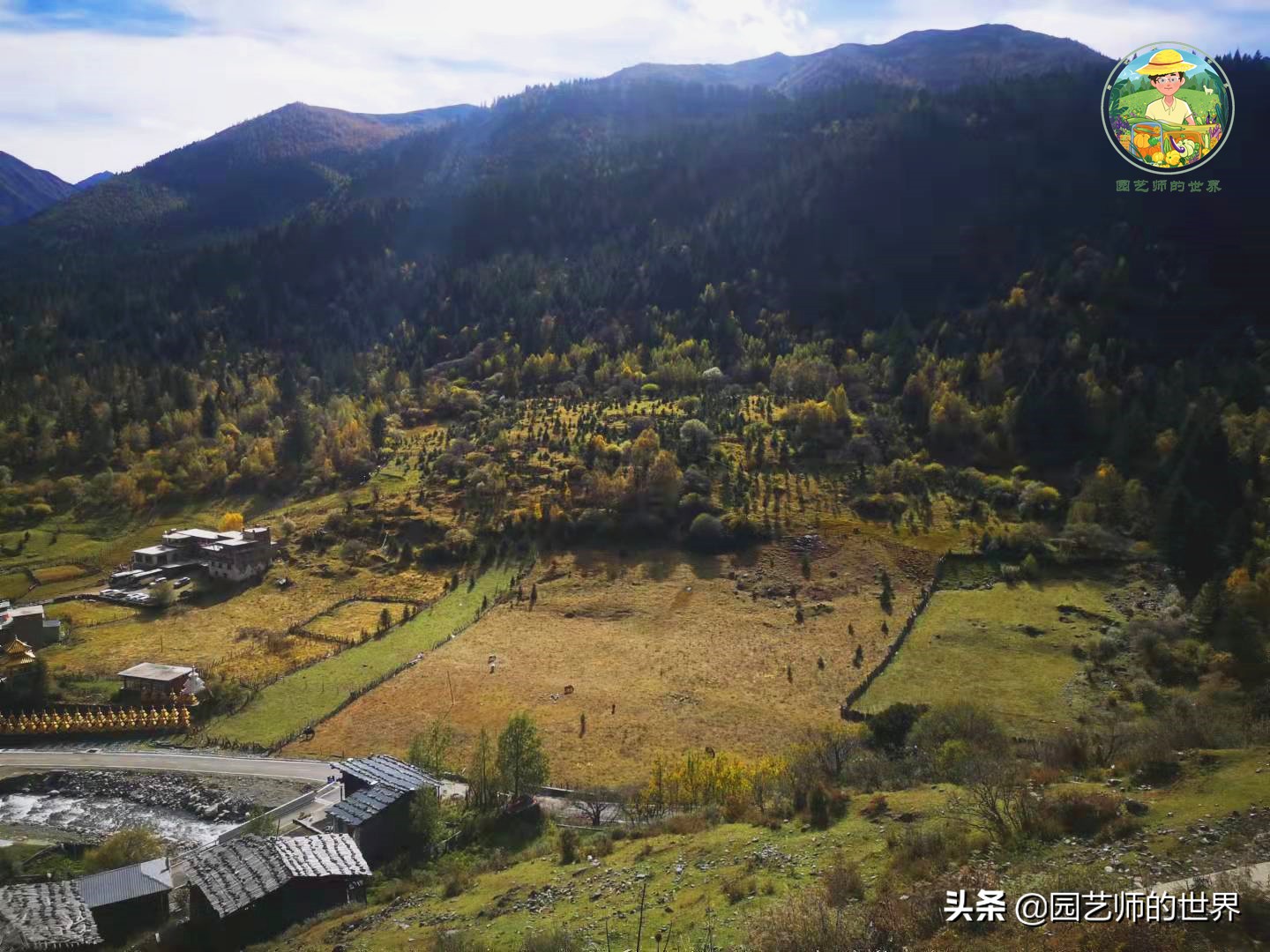 夏季草莓还能开花结果吗,草莓夏季高产