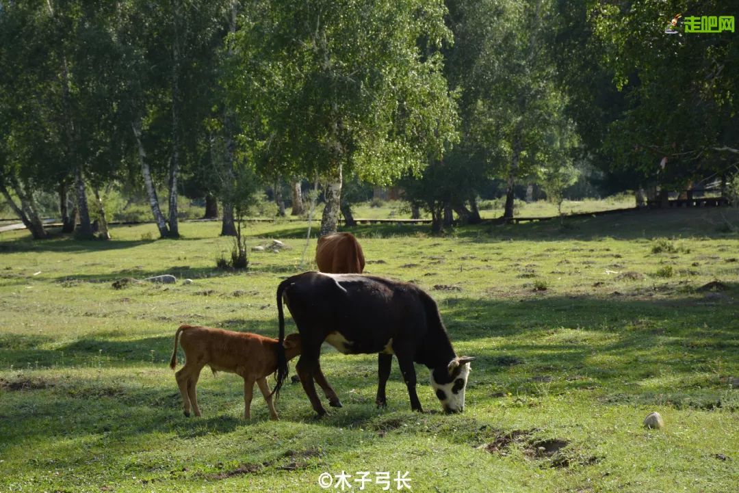 九月份北疆自驾游攻略,九十月份旅游攻略