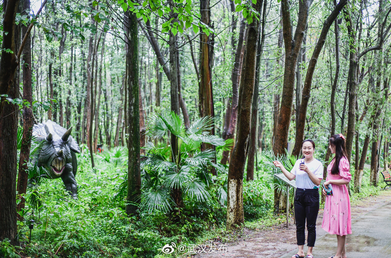 小镇青年说第八站：在悦兮温泉小镇找到家乡味道