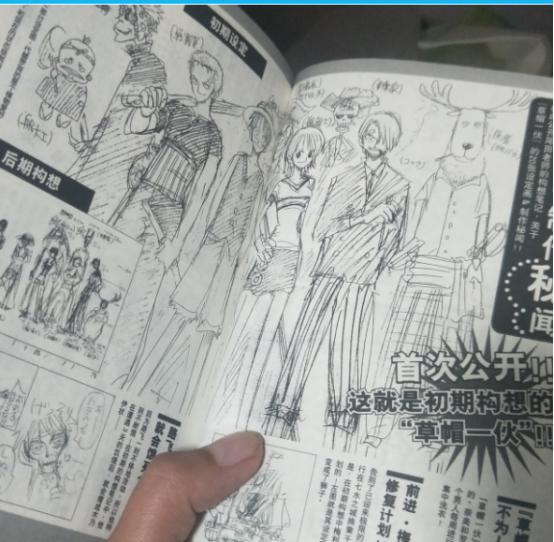 海贼王书籍选择 (海贼王书籍排名)