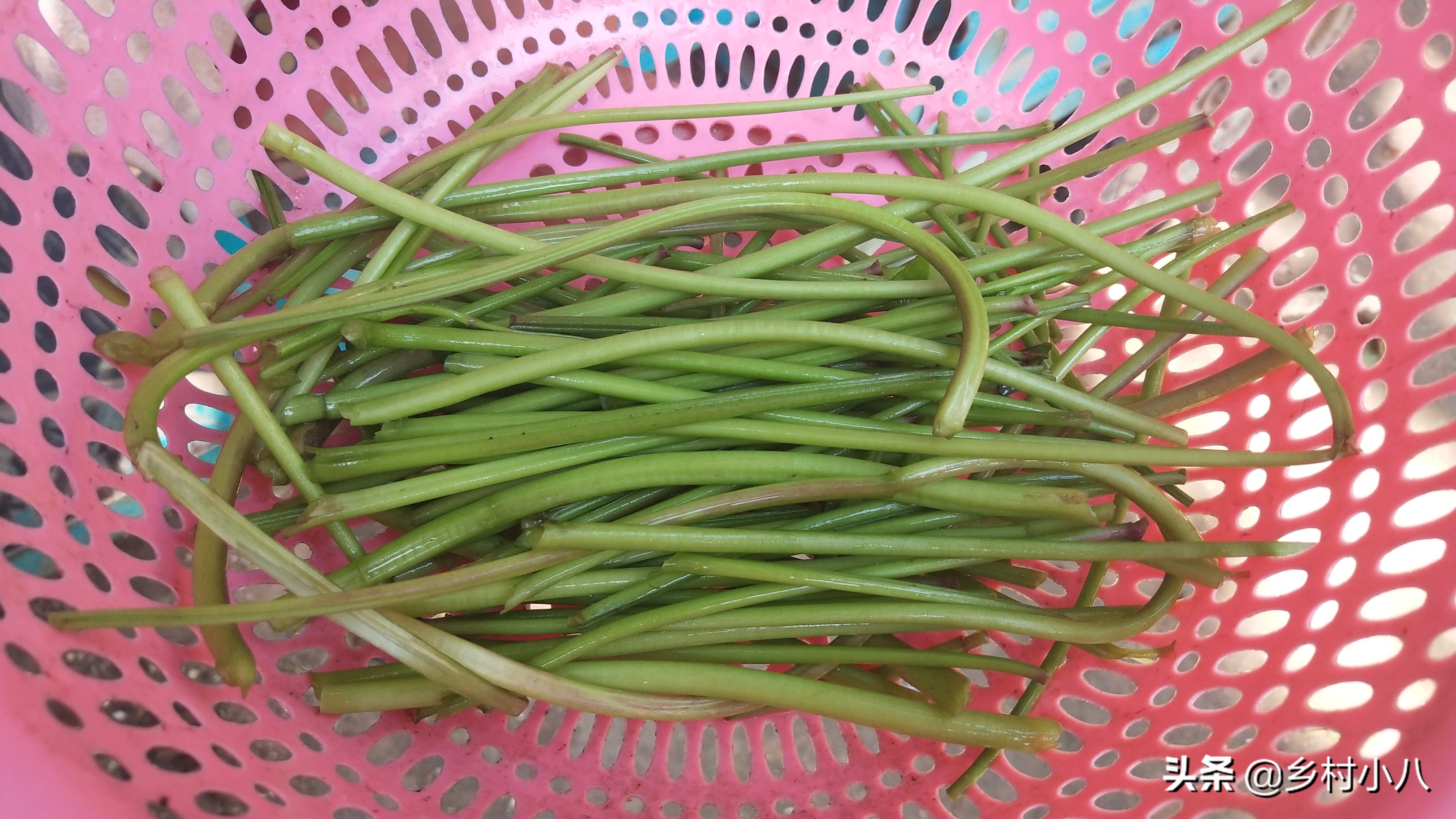 老人清肠的食物,老人通便的食物清肠最快