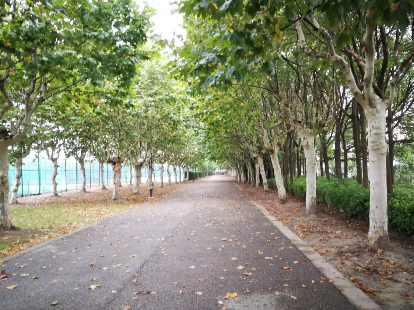 数字赋能让农业执法更智慧,农业执法创新做法