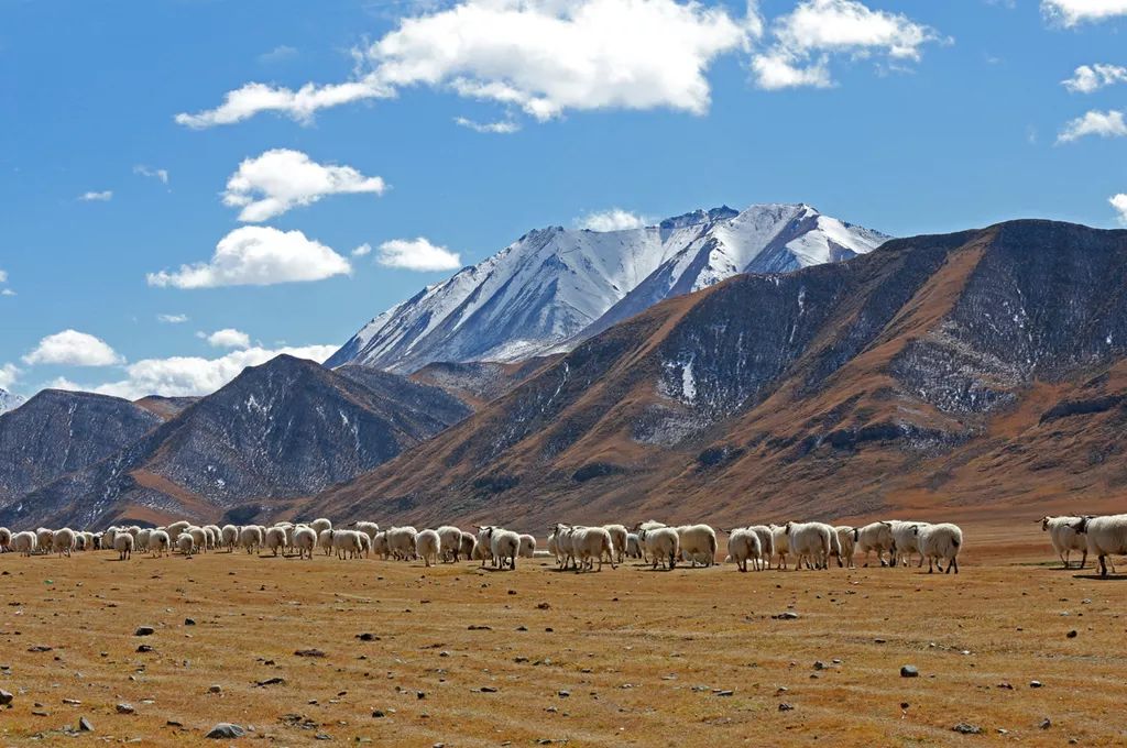 中国的阿尔卑斯秘境,被誉为东方的阿尔卑斯