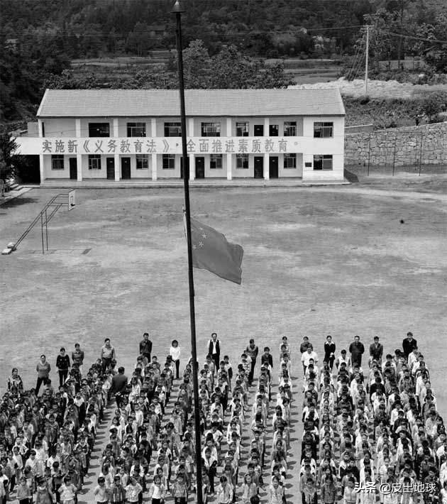 日本大熊猫降半旗,大熊猫为什么降半旗