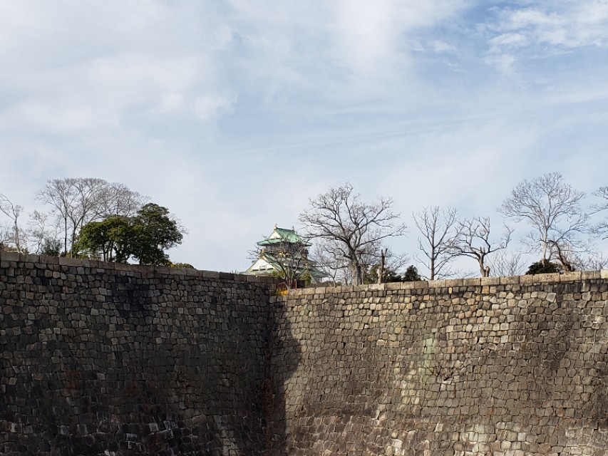 如果你今生只想去一次日本，千万别跟我一样，报这样的旅行团五