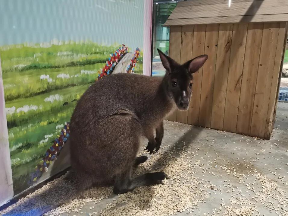 深圳暑假值得带孩子旅游的地方,深圳十大暑假室内必去景点