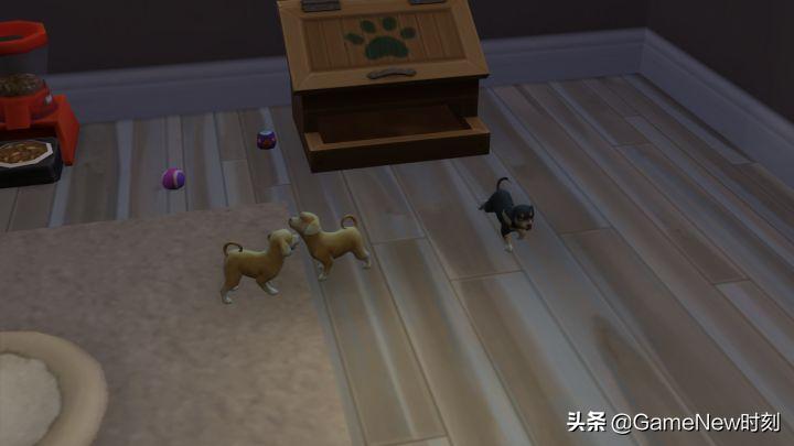 最真实的模拟人生游戏攻略,模拟人生游戏通关大全攻略