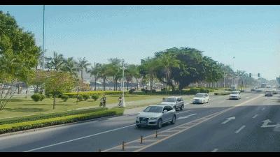 周星驰赵薇光头,赵薇周星驰完整视频