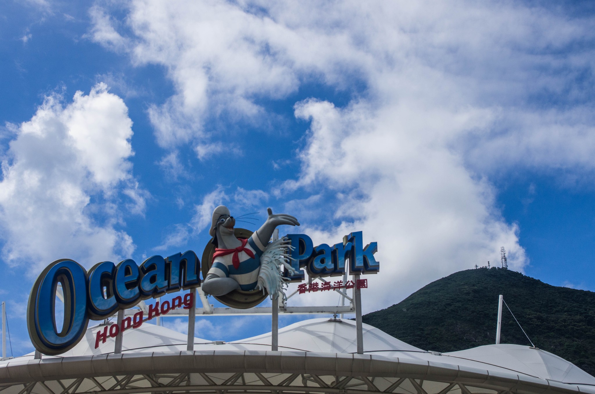 香港海洋公园现在盈利吗,香港海洋公园现在情况