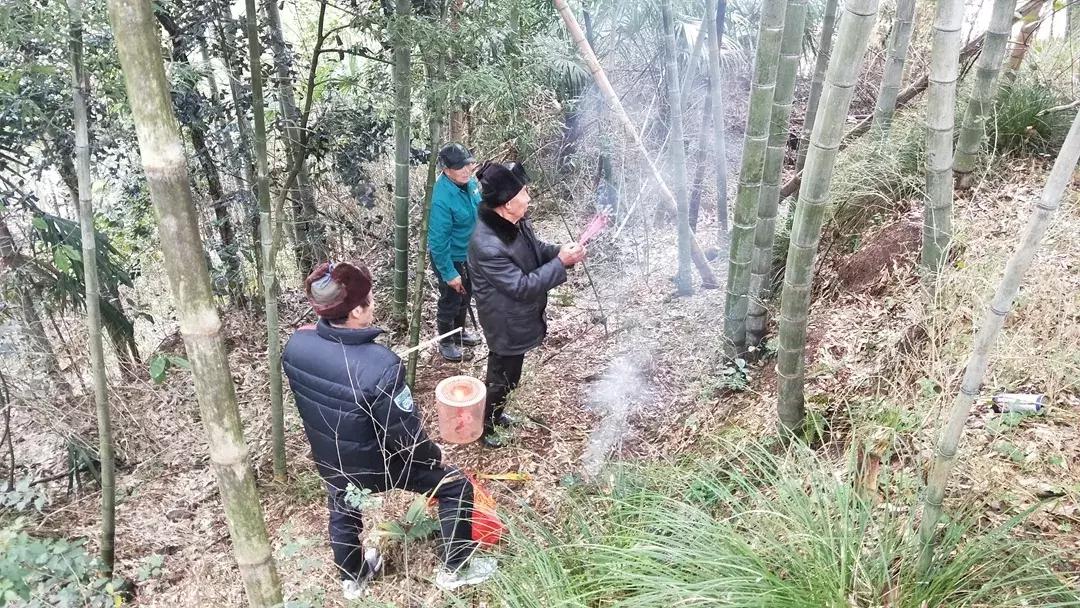 龙灯什么时候开始玩的,今年的龙灯为什么这么多