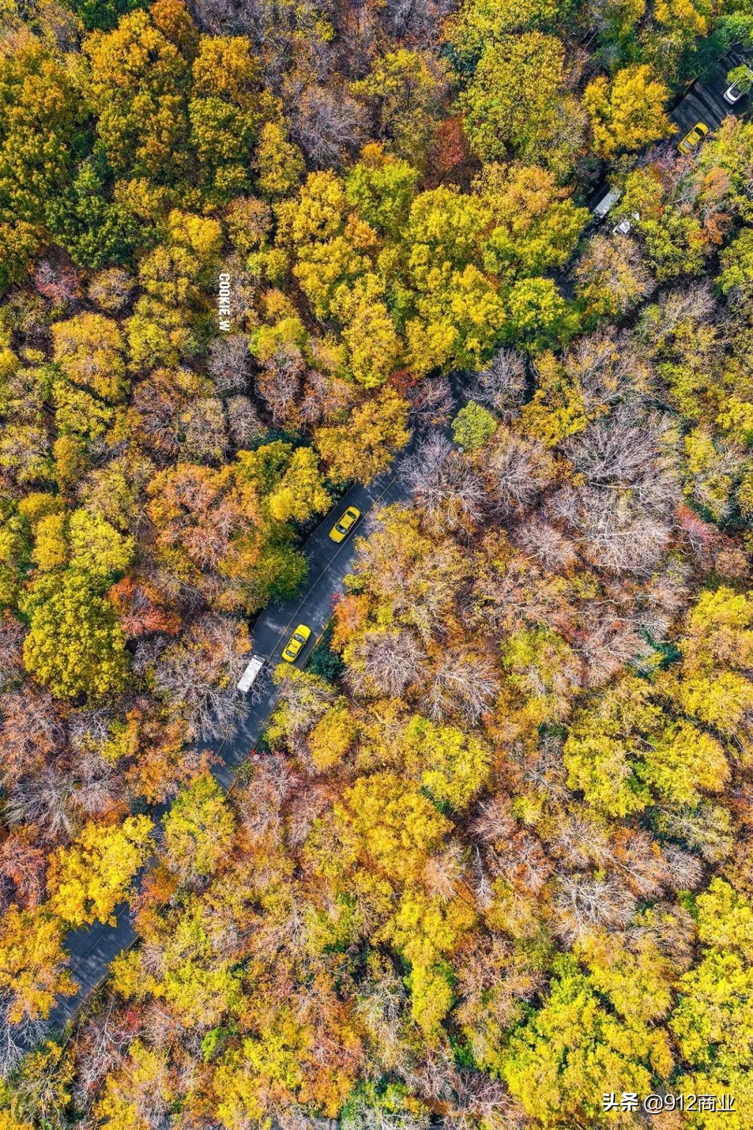 南京本地人冷知识,南京哪个区域是核心区