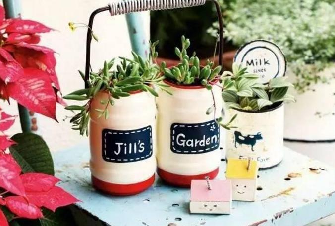 养花不用买花盆既省钱又好看,养花新手怎么养花盆好看