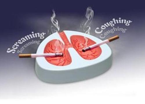 *草烟**老员工：这5款香烟全是假烟，朋友们别再抽了！你踩雷了吗？