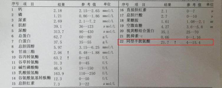 同型半胱氨酸降了还会升高吗,体检同型半胱氨酸增高