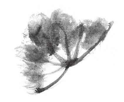 国画刘存惠荷花画法全视频,国画山水画教学视频荷花画法