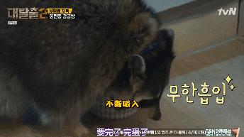 鏉ㄥ箓鐪熸鐢峰瓙姹夋埓鐪肩僵,鏉ㄥ箓鐧芥祬鎴翠笂鐪肩僵