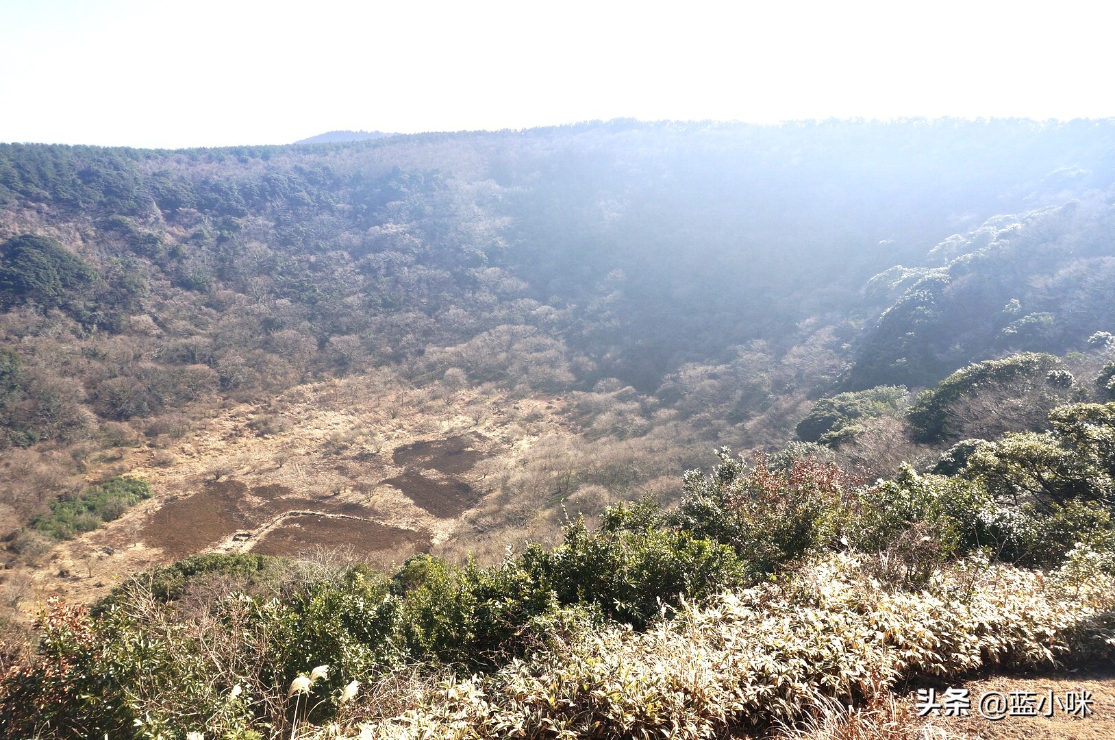 说走就走的半日游攻略,说走就走国外旅游攻略