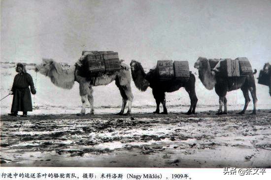 圐圙这个字啥意思,圐圙这读什么字