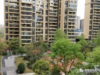 读茶店子小学的小区有哪些,茶店子学区房有哪些