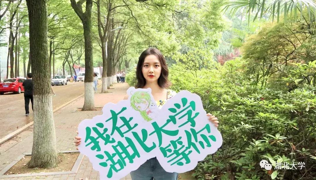 高考志愿湖北大学,高考志愿填报湖北大学