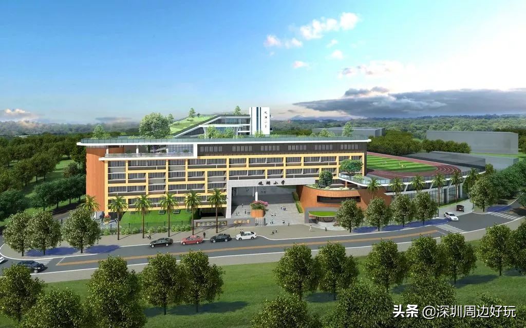 住在深圳的人,住在深圳的市民