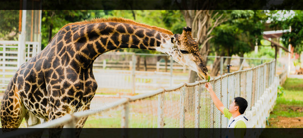 泰国旅游漫游,最新鲜玩转泰国攻略