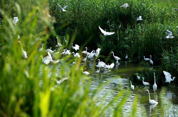 初秋的诗词经典赏析,初秋诗词大全100首