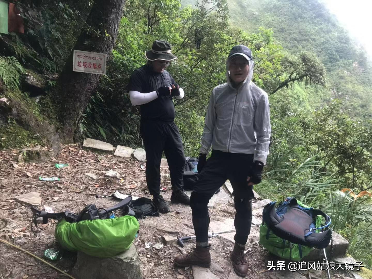 穿越原始的森林,穿越原始森林巨大蜈蚣