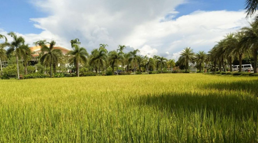 清迈性价比高的酒店推荐,在清迈的七种浪漫酒店