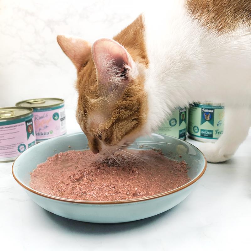 猫罐头如何选看完这些你就知道了,怎么选猫罐头好看