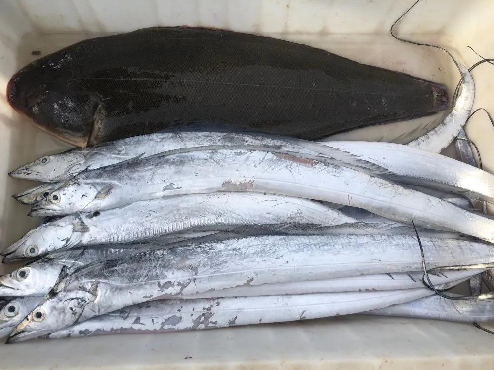 二月份威海海鲜价格,威海海鲜价格实时查询系统