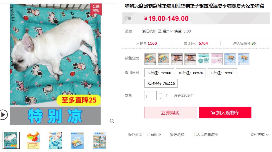 遛狗大爷传授养狗实用技巧,科学养狗狗攻略