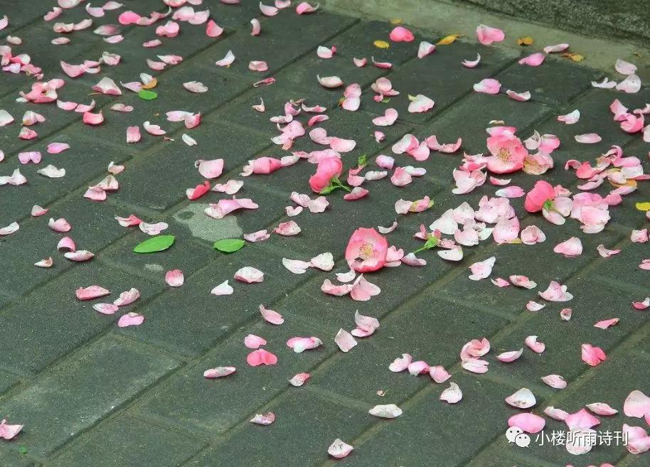 小楼谭诗｜（读诗心解之四）简约与繁复「谭汝为」