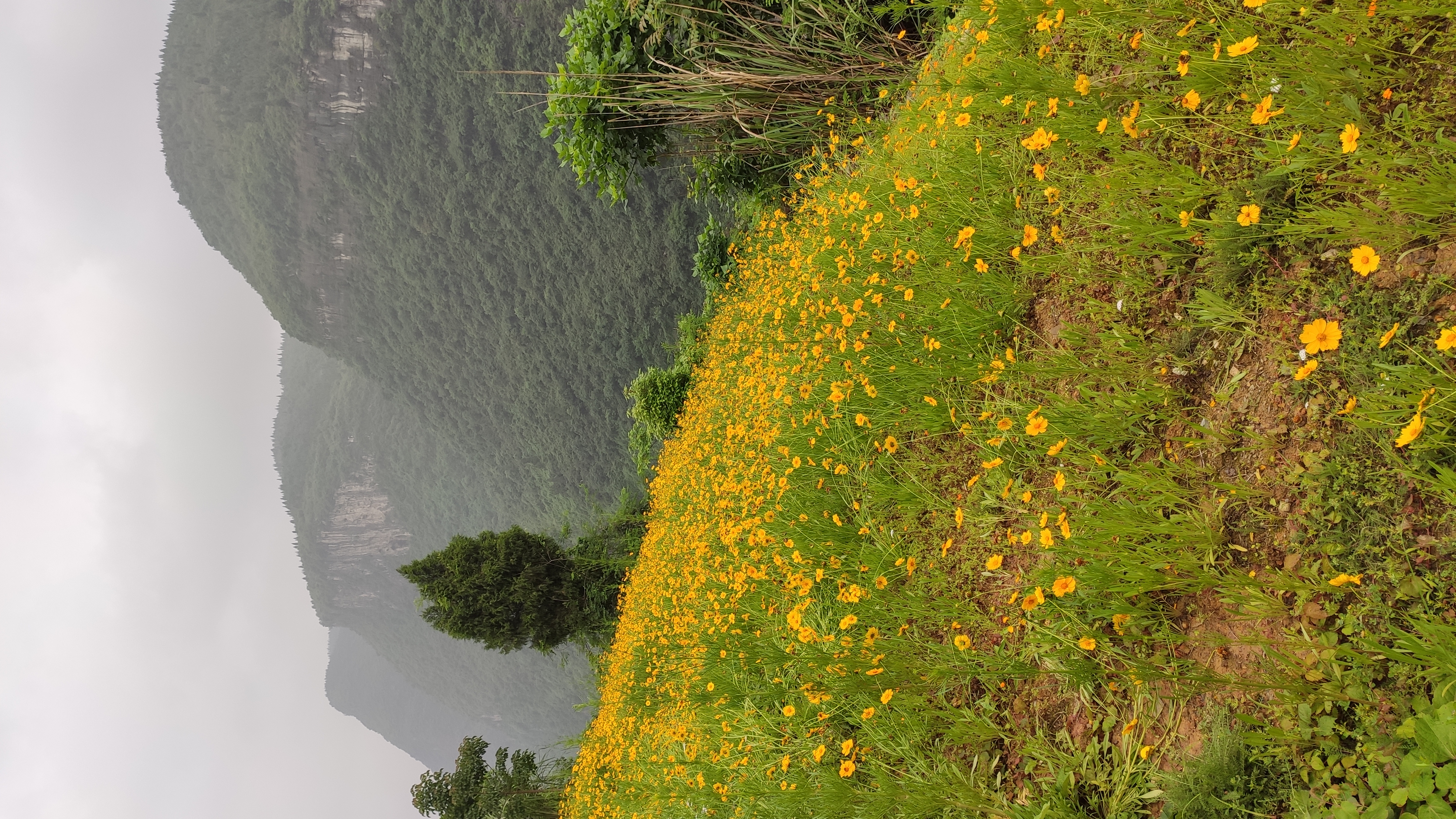 山城重庆的夜别样的美,重庆四天三夜