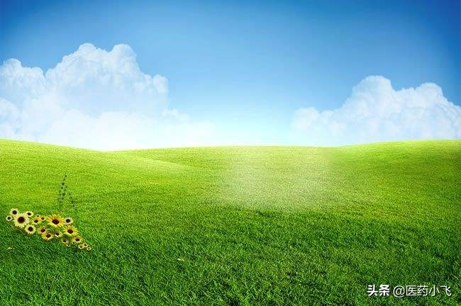 每日医药琥珀,每日医药