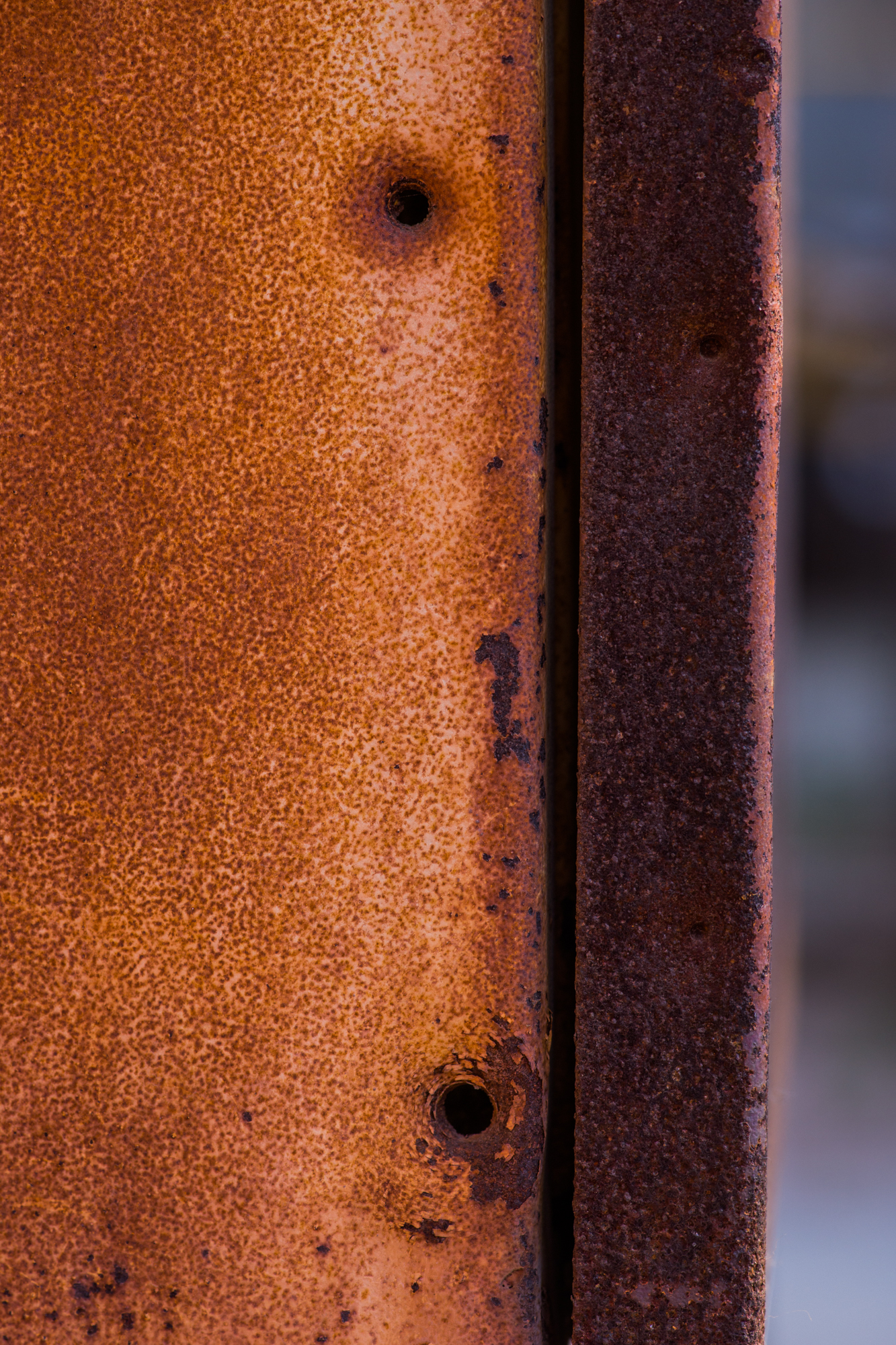 国产复合弓新手推荐,测试复合弓威力到底有多大