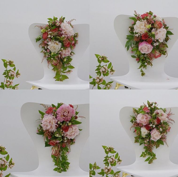 圣诞节送女生白玫瑰的花语,圣诞节送女孩子花的花语