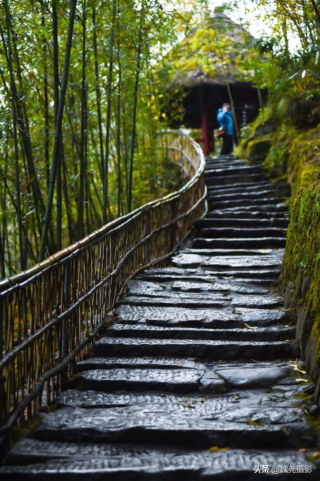 留坝秦岭之夜,留坝秦岭森林公园