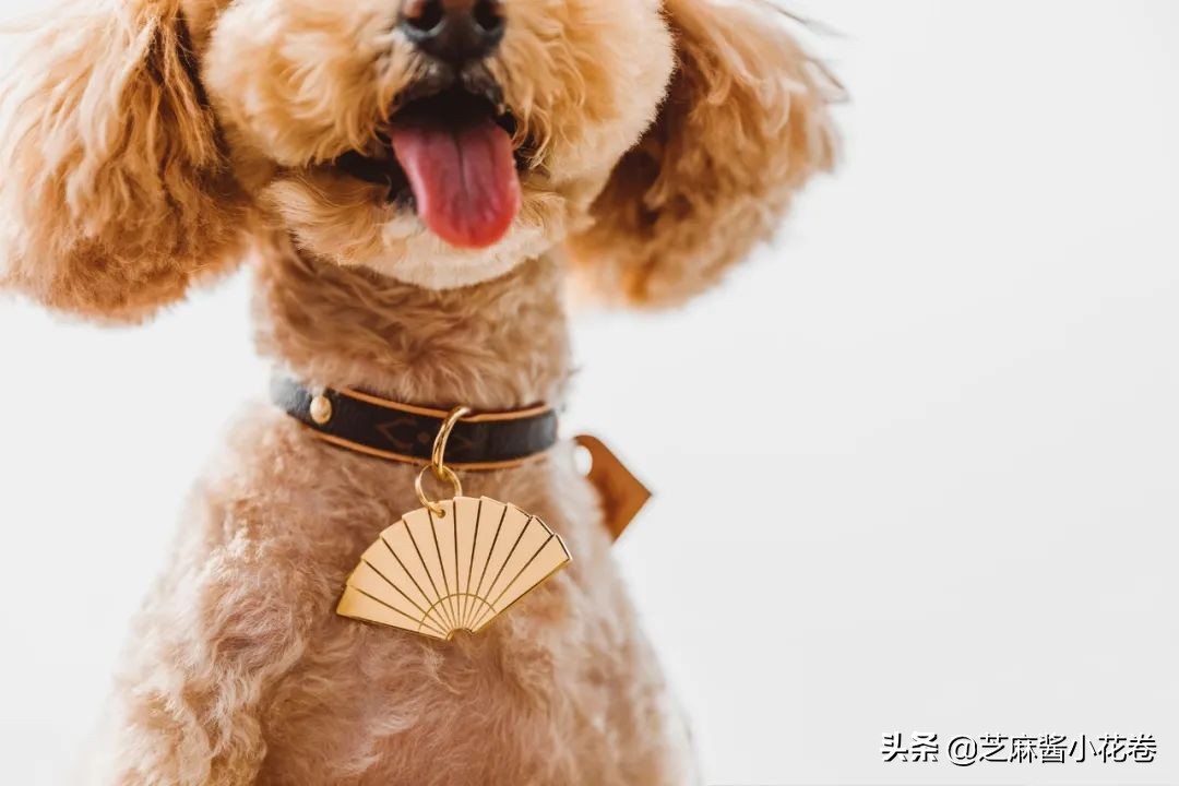 凡尔赛文学其实无处不在,凡尔赛文化盛行