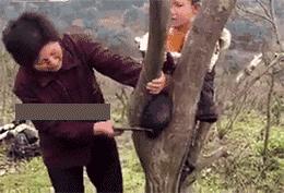 孩子爸爸老当着孩子抽烟怎么办,孩子爸爸老在家抽烟怎么办