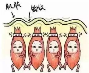 抗皱纹抗老小妙招,30岁后的面部抗老思路