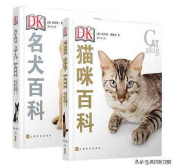 养宠物必备小知识必看,养宠物的必备指南