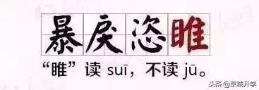 小学语文成语句子专项练习,小学生必背成语及解释造句