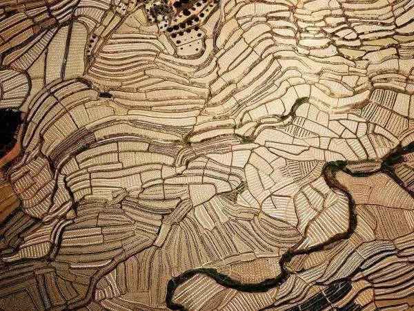 秦国扫*合六**，因为在这一点上打好了基础